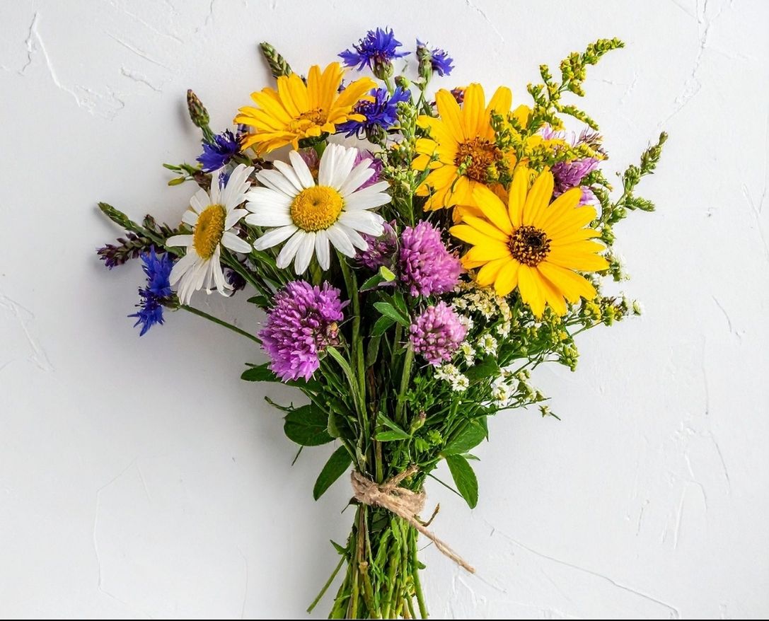 Mevsim & Kır Çiçekleri