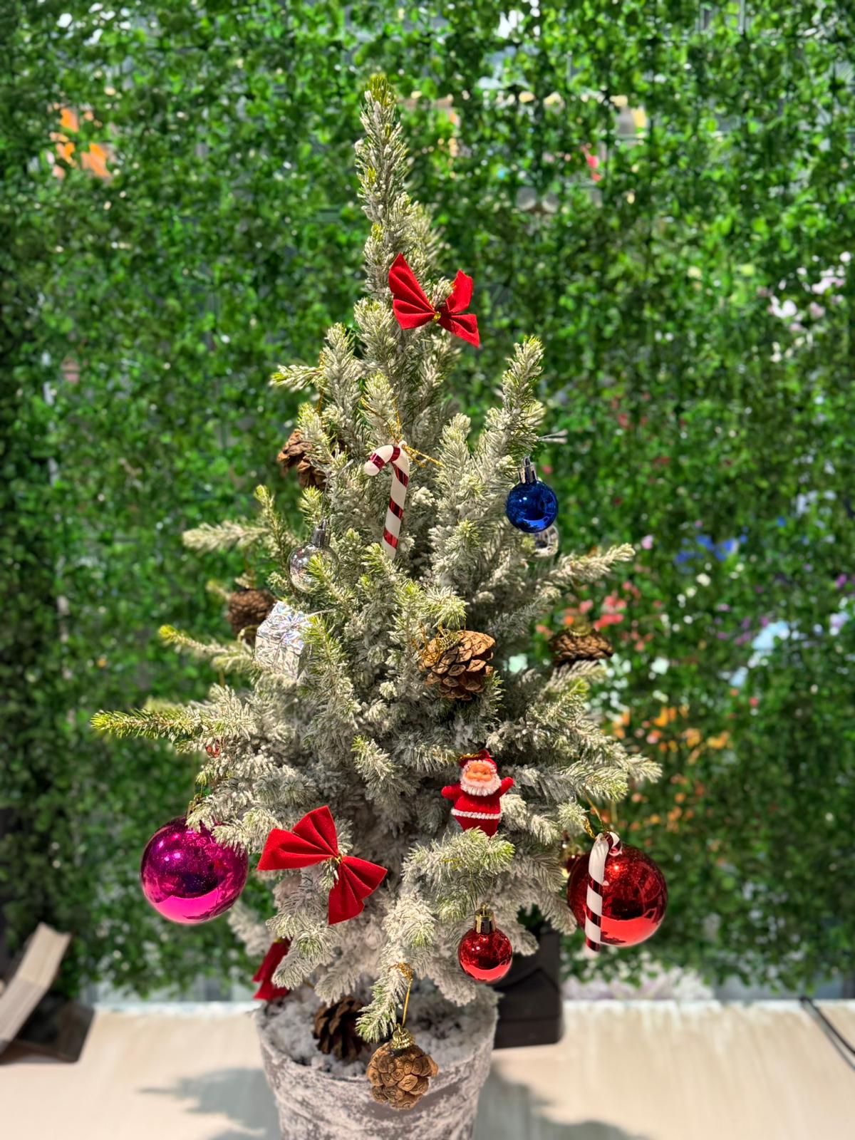 CANLI YENİ YIL ÇAMI 09