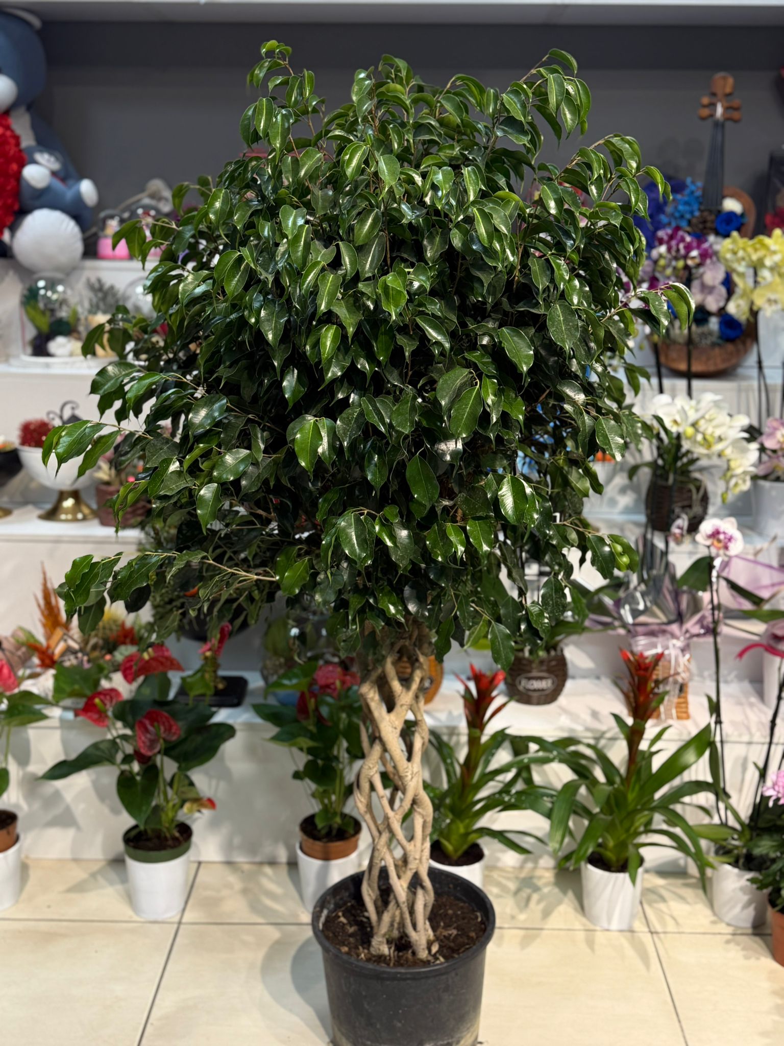 ÖRGÜLÜ BENJAMİN 07