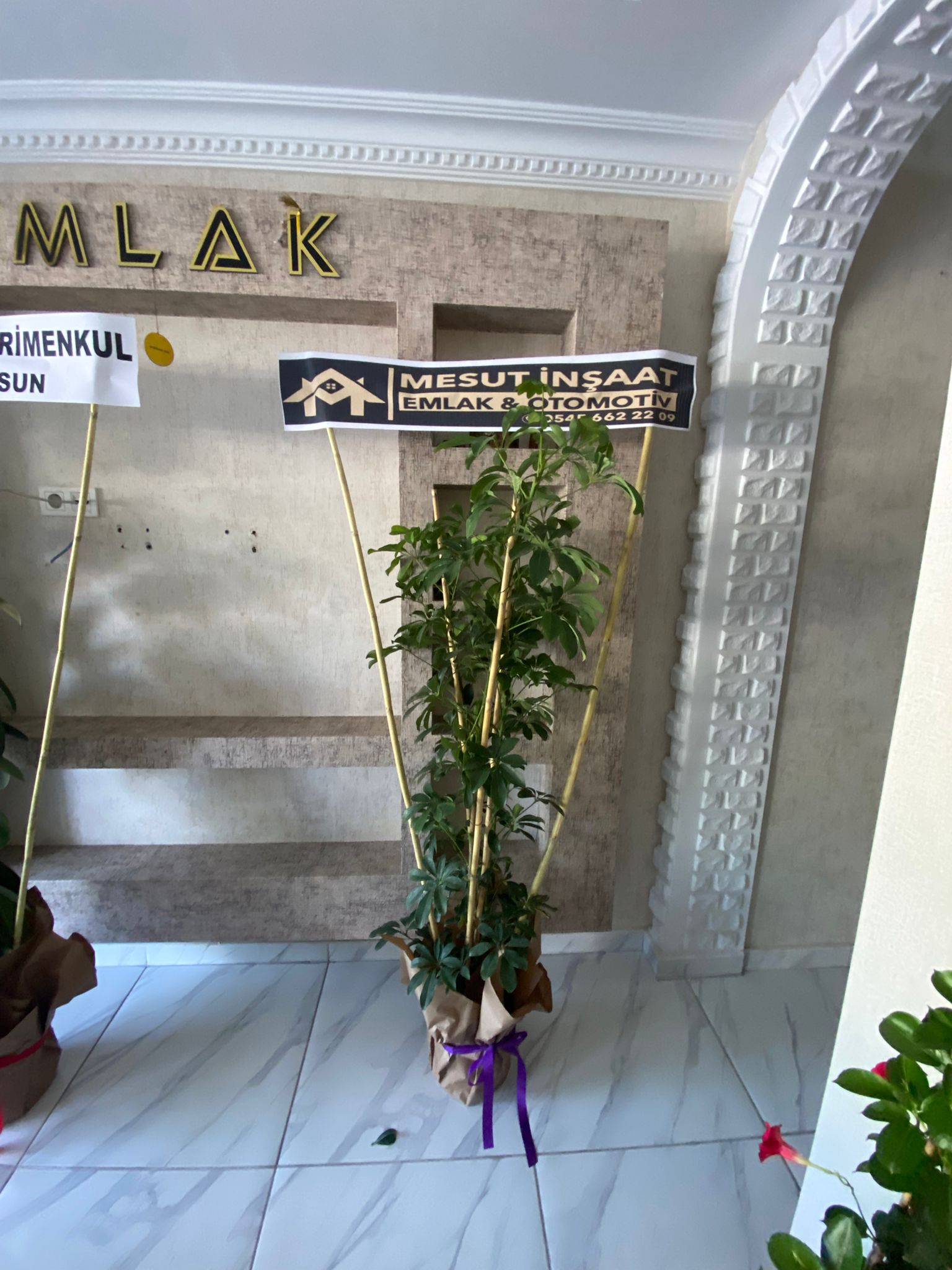 ŞEFLERA 
